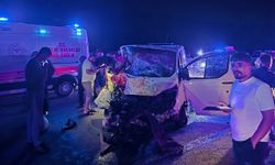 Bingöl'de yola çıkan ata çarpan araçtaki 1 kişi hayatını kaybetti