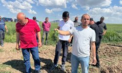3 bin 500 dönümlük tarım arazisinin 2 ayrı kişiye kiralandığı iddiası