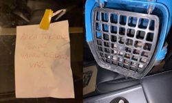 "Araçta kedi var" yazısını dikkate aldı, sevimli 3 yavru kediyi kurtardı