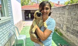 İki gönüllünün şefkat eli yüzlerce sokak hayvanına ulaşıyor