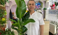 Yaz aylarında çiçek bakımında bunlara dikkat
