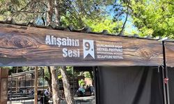 Odunpazarı 9. Uluslararası Ahşap Heykel Festivali beklentilerin gerisinde kaldı