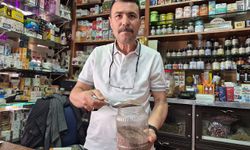 Zayıflamak isteyenlerin yeni gözdesi 'karnıyarık otu tohumu' oldu