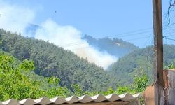 Manisa'da orman yangını: Havadan ve karadan müdahale ediliyor