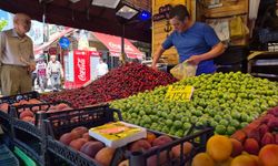 Balık tezgahları renk değiştirdi: Yarısı balık yarısı meyve