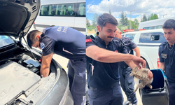 Eskişehir'de sürücünün duyarlılığı hayat kurtardı: Motor bölümüne sıkışan kedi itfaiye tarafından kurtarıldı