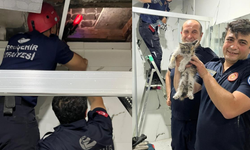 Eskişehir'de havalandırma boşluğuna düşen kedi itfaiye ekiplerince kurtarıldı