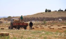Büyükşehirden üreticiye 2 bin 850 yem balyası desteği