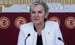 İstanbul Milletvekili Nimet Özdemir, CHP'den istifa etti