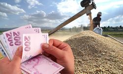2026 yılı hububat alım fiyatları açıklandı