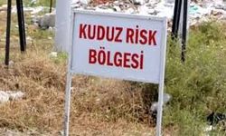Kuduz vakası tespit edildi: O ilçe karantinaya alındı