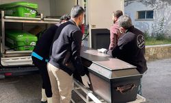 Sivas’ta hayvancılıkla uğraşan kişi kene nedeniyle hayatını kaybetti