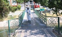 Odunpazarı Belediyesi ilaçlama çalışmalarına hız verdi