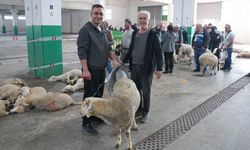 Tepebaşı Belediyesi’nin kurban kesim alanına yoğun ilgi