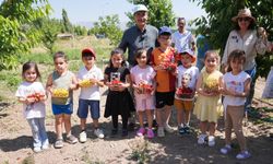 Tepebaşı'nda çocuklar dalından kiraz topladı