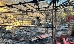 Alanya’da orman yangını muz seralarına sıçradı: 17 hektarlık alan zarar gördü