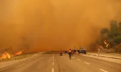 Muğla'da orman yangını! Devlet hastanesi boşaltılıyor, iki ili birbirine bağlayan yol kapatıldı
