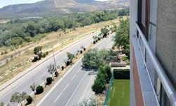 Eskişehir’de Kütahya Yolu’nda tehlike: Ağaç yola devrildi