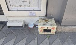 Eskişehir'de sokak hayvanlarının su kabını atanlara sert uyarı: "Atan zındıktır!"