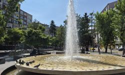 Eskişehir'de bunaltan sıcaklarda kuşlar süs havuzunda serinledi