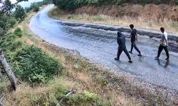 Jandarmadan fotokapan operasyonu: 1.847 kişi yakalandı