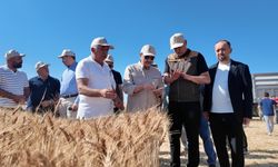 Fatih Dönmez Eskişehir'de buğday hasadına katıldı