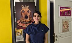 Evcil hayvan sahiplerine sıcak hava uyarısı
