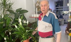 Direkt güneş ışığı çiçekler için zararlı
