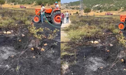 Eskişehir yolunda orman yangını!