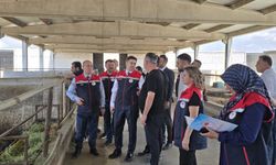 Tarım ve Orman Bakan Yardımcısı Bağcı'dan Eskişehir'de saha mesaisi