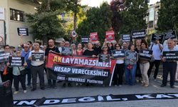 Seyitgazi orman yangınının birinci yılında adalet çağrısı