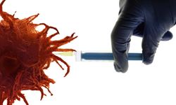 Rusya'nın ürettiği kanser aşısı ilk klinik testlerde olumlu sonuç verdi