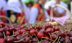 Mihalıççık’ta 46. Geleneksel Kiraz Festivali için geri sayım