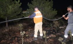 Bir kuş çam ormanlarını alevlerin eşiğine getirdi: Yangın büyümeden söndürüldü