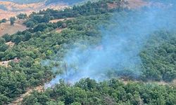 Erken müdahale ormanı kurtardı