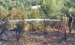 Orman yangının 1 hektar alan zarar gördü