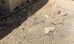 Tertemiz Eskişehir'e rağmen manzara değişmedi: Her yer sigara izmariti!