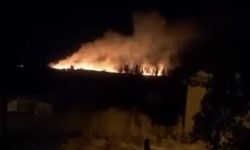 Eskişehir'de tarım arazisinde çıkan yangın büyümeden söndürüldü