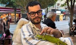 İguanayı görenler şaşkına döndü: Eskişehir sokaklarında ilginç görüntüler