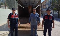 Eskişehir’de çalınan büyükbaş hayvanlardan biri Bilecik’te bulundu