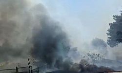 Eskişehir'de otluk alanda yangın
