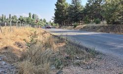 Eskişehir’de yol kenarındaki kurumuş otlar yangın tehlikesi oluşturuyor