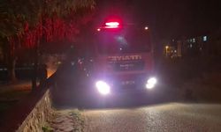 Eskişehir'de bir parkta kasten çıkarılan yangın ekipleri teyakkuza geçirdi