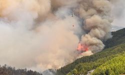 Alanya'da orman yangını