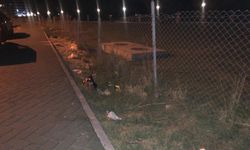 Velespit Parkı’nda kötü görüntü: Yol kenarı çöplüğe döndü