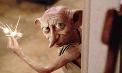 Her şey Dobby için: Harry Potter hayranları 580 milyon dolarlık projenin rotasını değiştirdi!