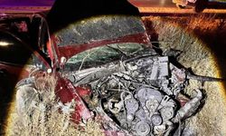 Kontrolden çıkan otomobil yol kenarına savruldu: 2’si ağır, 3 yaralı