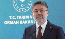 Bakan Yumaklı: "Antalya, Kocaeli, ve Balıkesir’deki orman yangınları tamamen kontrol altına alındı"