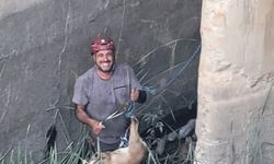 Koruma altındaki dağ keçisi için özel kurtarma operasyonu