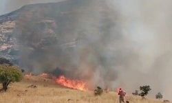 Orman yangınına havadan ve karadan müdahale